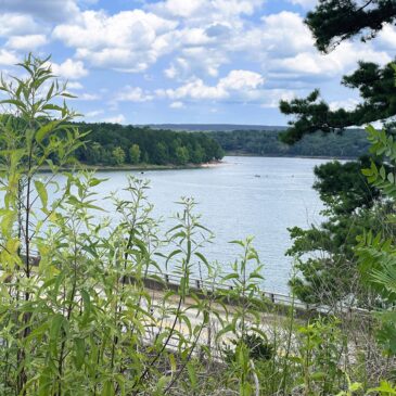 John F. Kennedy Overlook & Memorial in Heber Springs, Arkansas